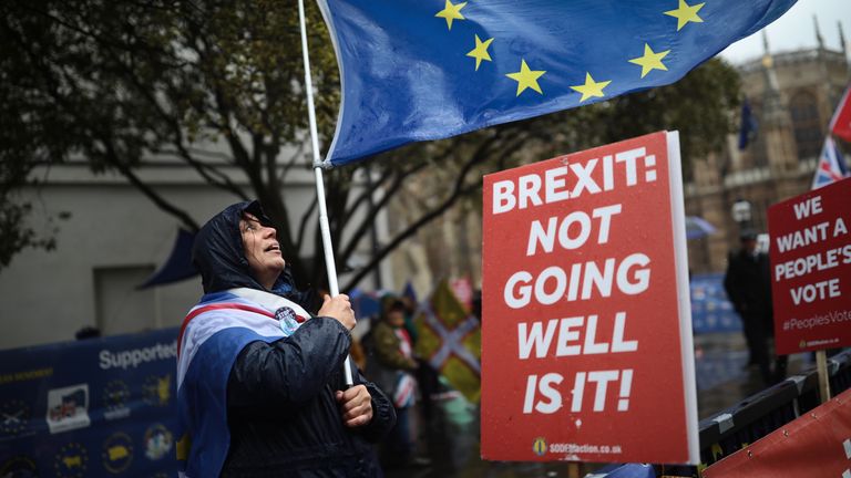 Les manifestants anti-Brexit manifestent en 2019