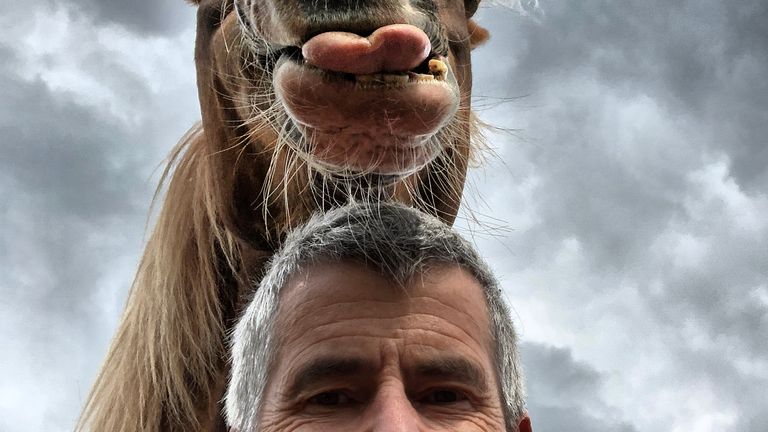 Peter von Sheen / Mars Petcare Comedy Pet Photo Awards 2020