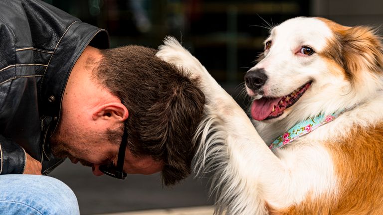 Mateus de Oliveira / Mars Petcare Comedy Pet Photo Awards 2020
