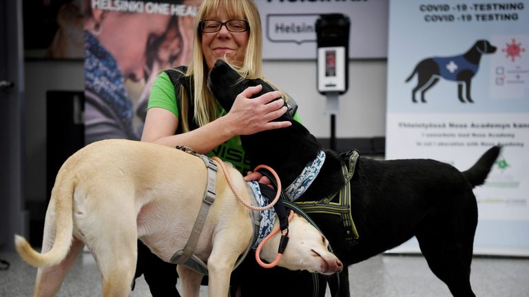 Kossi (L) et Miina (R), certains des chiens renifleurs formés pour détecter le coronavirus à partir des échantillons des passagers à l'arrivée, sont vus à l'aéroport d'Helsinki à Vantaa, en Finlande, le 22 septembre 2020. Lehtikuva / via REUTERS À L'ATTENTION DES RÉDACTEURS - CECI L'IMAGE A ÉTÉ FOURNIE PAR UN TIERS.  PAS DE VENTES À DES TIERS.  NE PAS UTILISER PAR LES DISTRIBUTEURS TIERS DE REUTERS.  FINLANDE.  AUCUNE VENTE COMMERCIALE OU ÉDITORIALE EN FINLANDE.