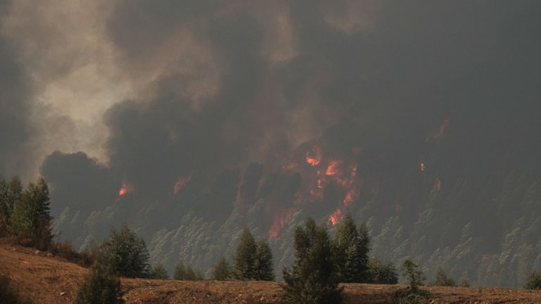 Au moins 3200 personnes ont été évacuées à cause d'un incendie dans le sud-ouest de l'Espagne