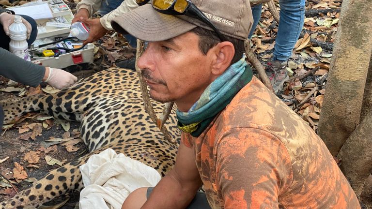 La région du Pantanal a été ravagée par un incendie 