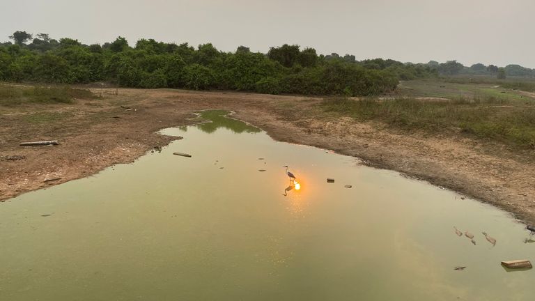 Le Pantanal est la plus grande zone humide tropicale du monde