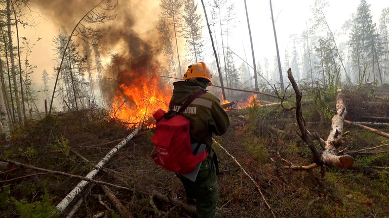 Les incendies de forêt en Sibérie ont contribué à la fonte des glaces dans l'Arctique 