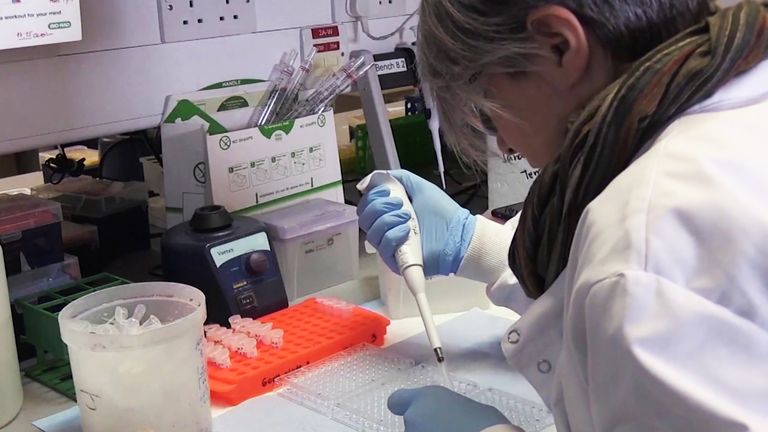1077 adultes en bonne santé dans l'étude sur le vaccin d'Oxford ont montré une forte réponse immunitaire en anticorps et en lymphocytes T