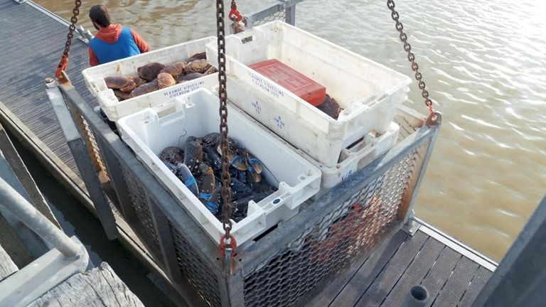 Boulogne est le port de pêche le plus fréquenté de France 