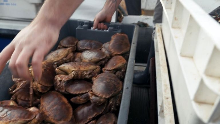 Certains pêcheurs de Boulogne s'inquiètent du Brexit