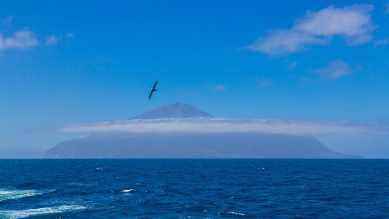 Tristan da Cunha, l'île la plus isolée de l'océan Atlantique Sud - territoire britannique d'outre-mer.  Volcan couvert de nuages ​​et de mouette, de cormoran ou de fou de Bassan au premier plan.