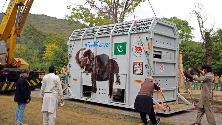 Les experts des animaux se rassemblent comme une caisse de levage de grue transportant Kaavan, un éléphant à transporter dans un sanctuaire au Cambodge, au zoo de Marghazar à Islamabad, Pakistan 