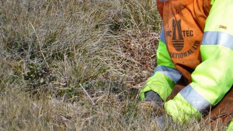 Un démineur travaille dans le Falklands Pic: John Hare et Guy Marot / FCDO
