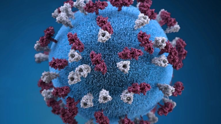 Le virus de la rougeole