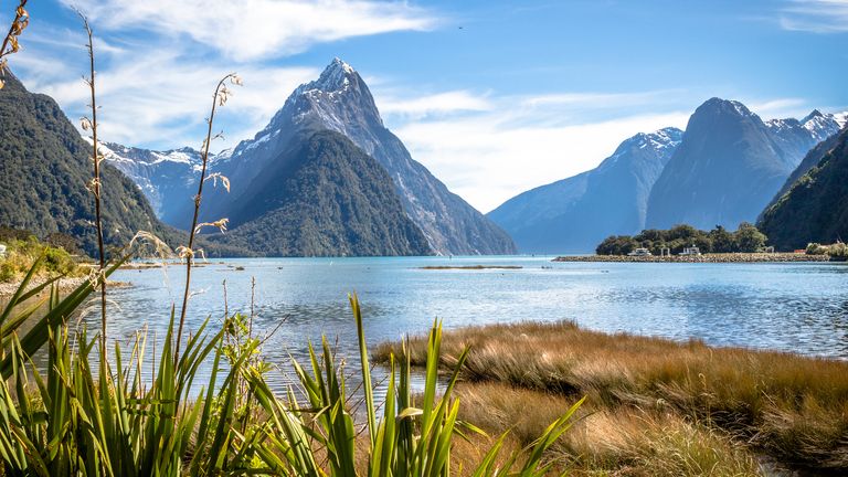 Le slogan de Tourism New Zealand est `` 100% pure Nouvelle-Zélande '' - ce que M. Nash a déclaré que les touristes ne sont pas toujours à la hauteur