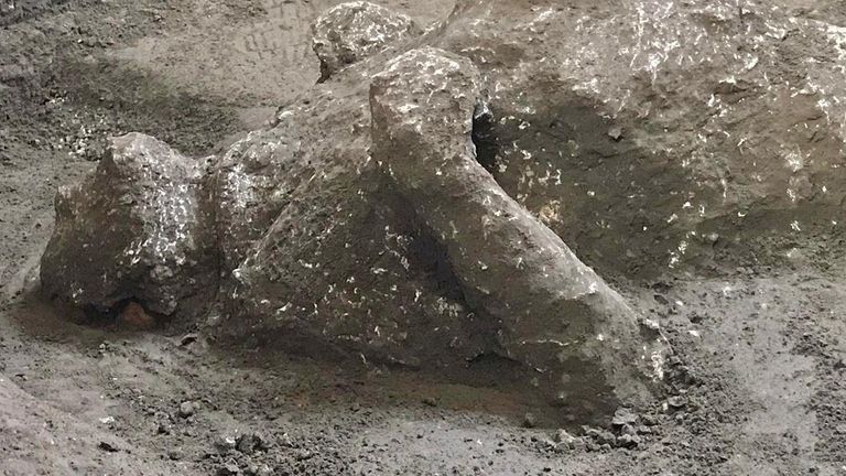 Restes de deux hommes morts dans l'éruption volcanique qui a détruit l'ancienne ville romaine de Pompéi en 79 après JC