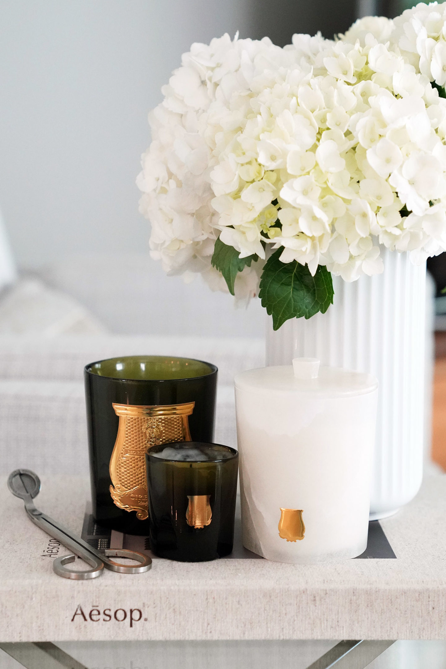 Bougies Cire Trudon Ernesto | Le Lookbook Beauté