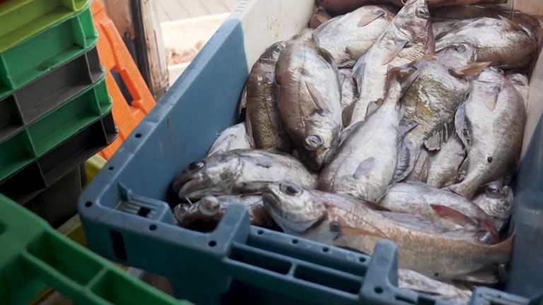 La pêche s'avère être la clé d'un accord sur le Brexit