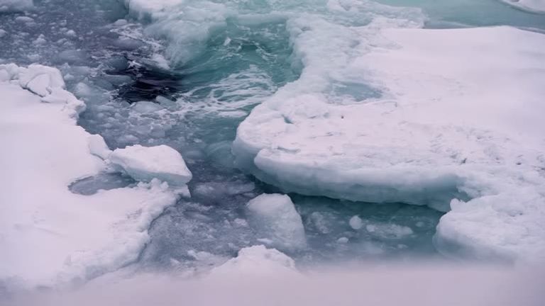 La seule fois où les niveaux de glace dans l'Arctique étaient aussi bas, c'était à l'été 2012. 