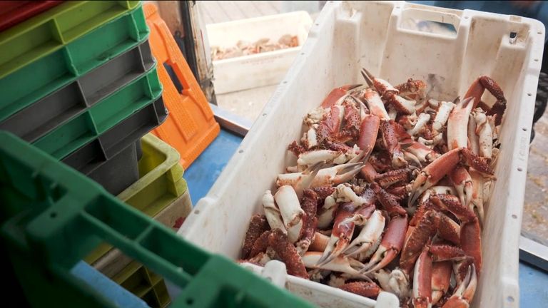Poisson mort .  Parsons Brexit Pkg