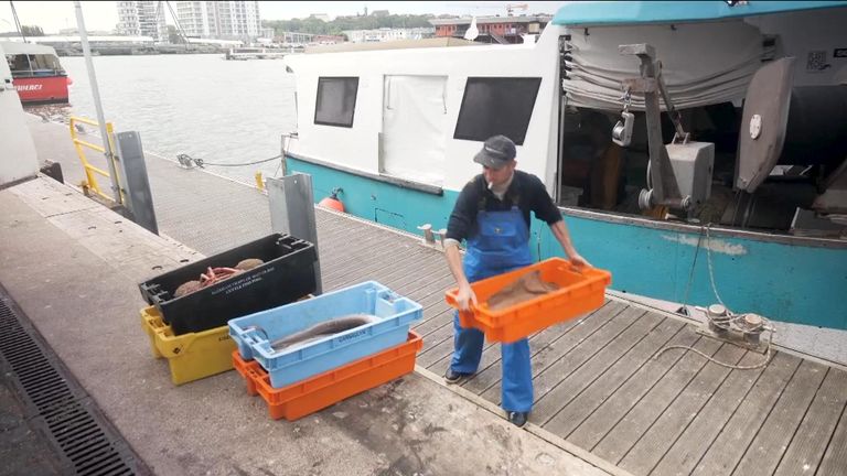 Industrie de la pêche / pêcheur. 