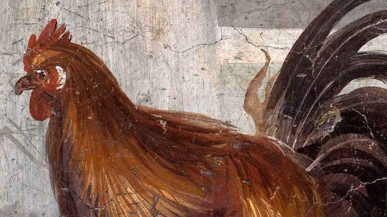 Une fresque sur un ancien comptoir représentant un coq qui a été découvert lors de fouilles à Pompéi, en Italie, est visible dans ce document photo publié le 26 décembre 2020. Parc archéologique de Pompéi / Ministère du patrimoine culturel et des activités et du tourisme