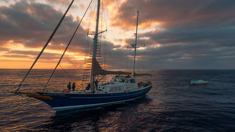 Le Martin Sheen, le bateau du groupe de conservation Sea Shepherd