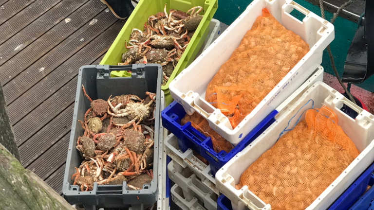 Laurent dit que son gagne-pain dépend de l'accès aux casiers à homard et à crabe dans les eaux britanniques