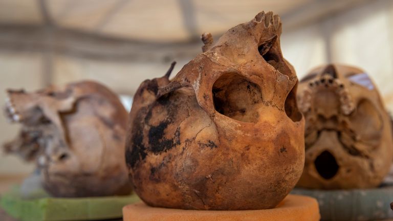 Un trésor d'anciens crânes est exposé que l'archéologue égyptien Zahi Hawass et son équipe ont mis au jour dans une vaste nécropole, à Saqqarah, au sud du Caire, en Égypte, le dimanche 17 janvier 2021 (AP Photo / Nariman El-Mofty)