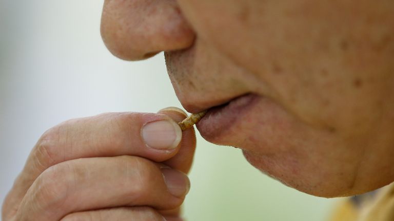 Les vers de farine sont déjà disponibles pour la consommation humaine dans d'autres parties du monde