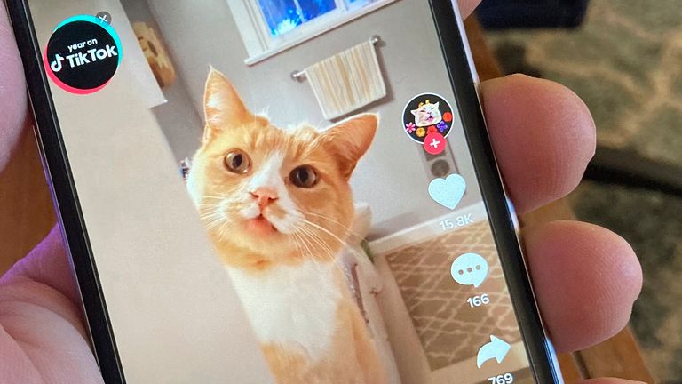 TikTok s'adresse spécifiquement aux enfants avec certaines de ses `` stars '' les plus importantes âgées d'environ 13 ans