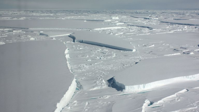 Les plates-formes de glace flottantes représentent toujours le plus grand habitat inexploré de l'océan Austral, selon les scientifiques