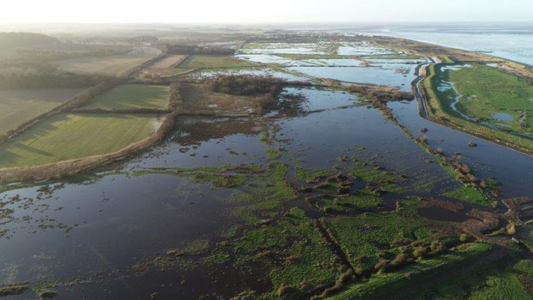 Ces champs de Norfolk ont ​​été rebâtis pour protéger les espèces d'eau douce