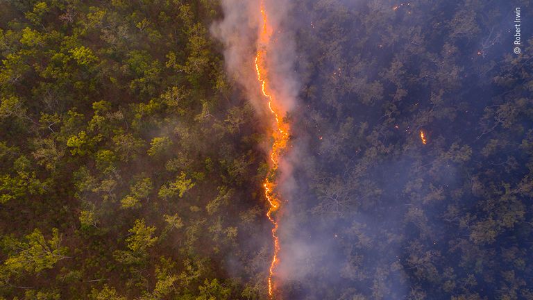 Bushfire par Robert Irwin, Australie