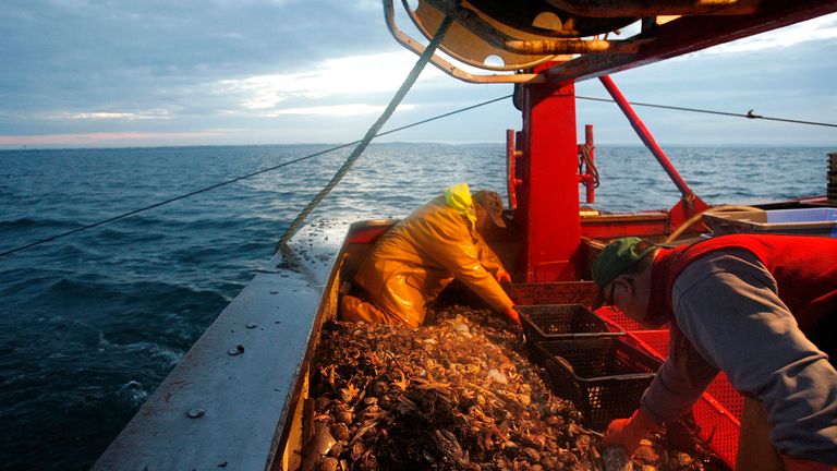 Les pêcheurs trient les prises matinales à bord d'un chalutier au large de l'ouest de la France 