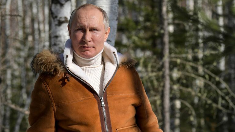 Le président russe Vladimir Poutine pose pour une photo dans une forêt de la taïga dans la région sibérienne de la Russie.  Pic: AP