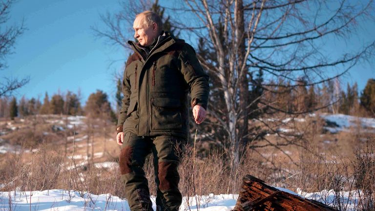 Le président russe Vladimir Poutine, se promène dans une forêt de la taïga dans la région de Sibérie en Russie.  Pic: AP