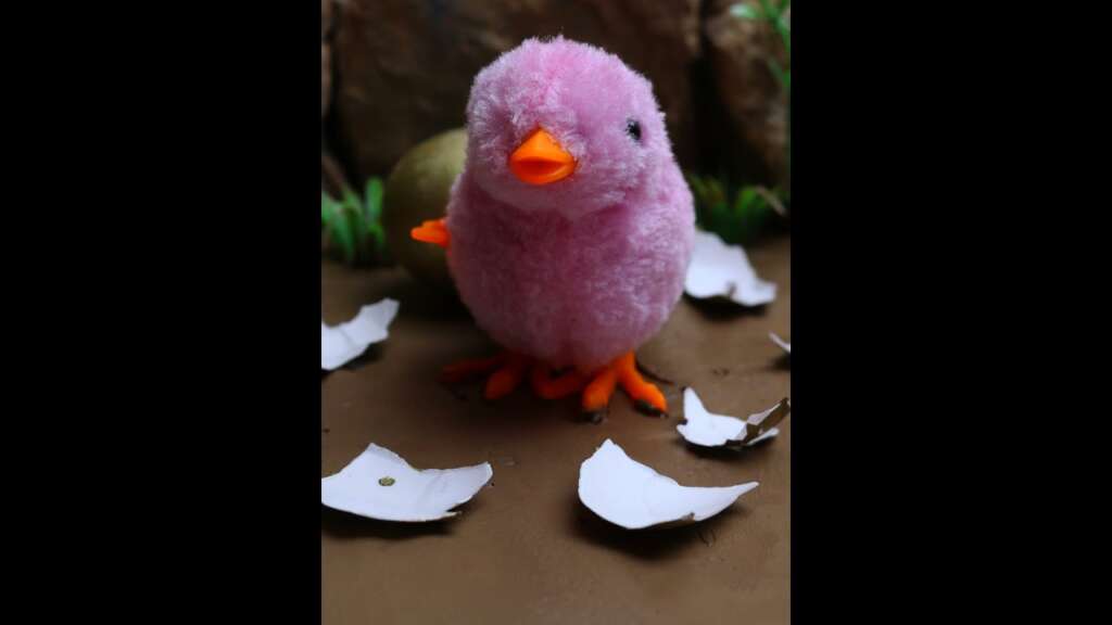 Stop Motion Funny Baby Chicken Egg Attrape tant de poissons #Shorts ASMR Cooking Manger de l’anguille #2